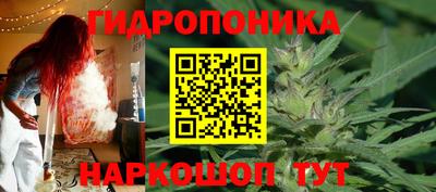 дмт Канаш
