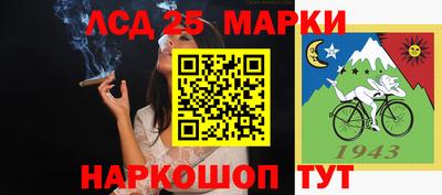 прущие крисы Кандалакша