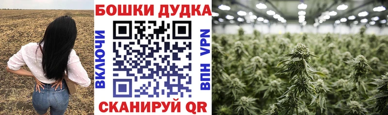 Бошки Шишки план Лыткарино
